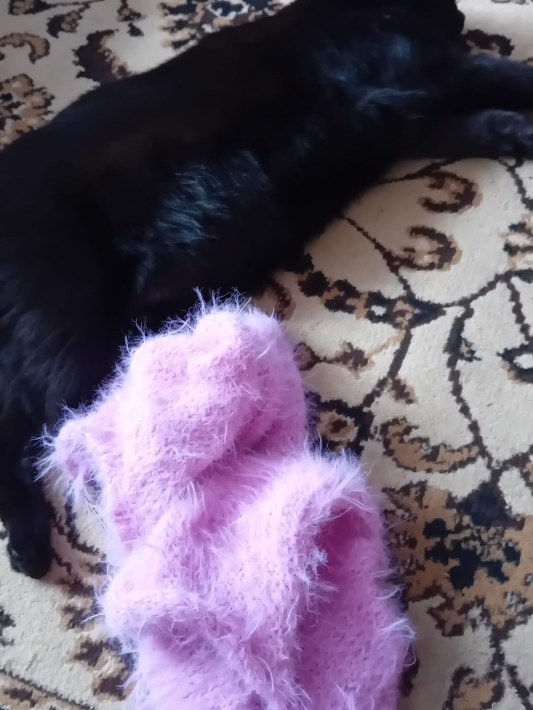 Customer photo review of Gazzal Marilyn & Merinos