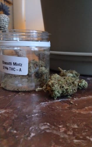 Customer's jar of Biscotti Mintz with a large, dense bud resting on a marble countertop.