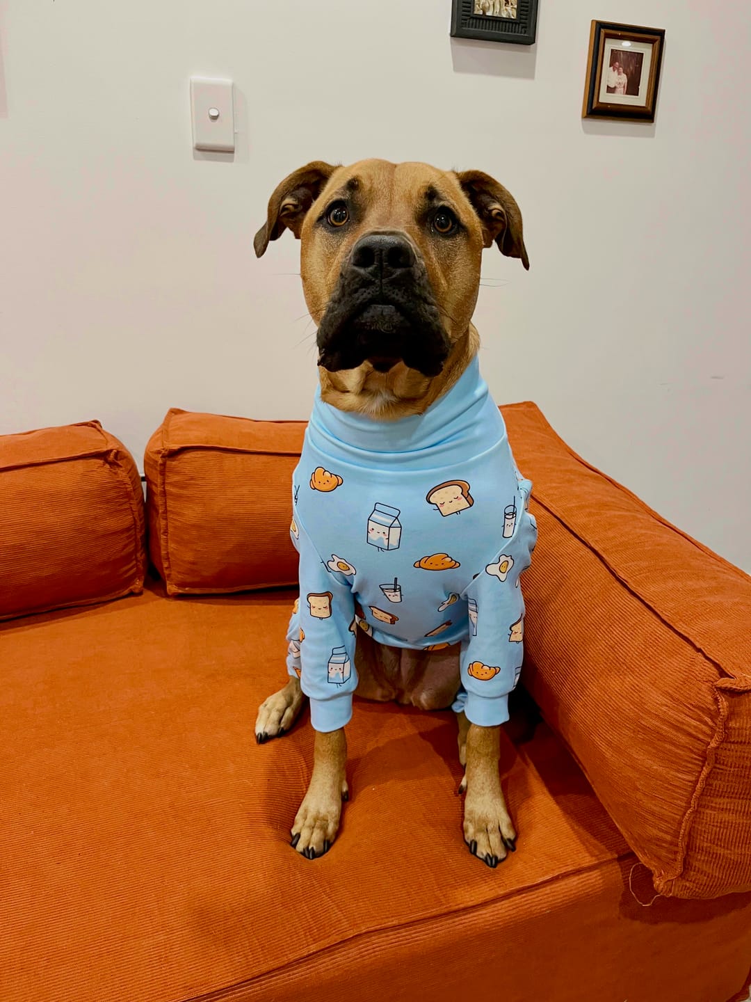 Customer photo review of Dog Pajama Prints
