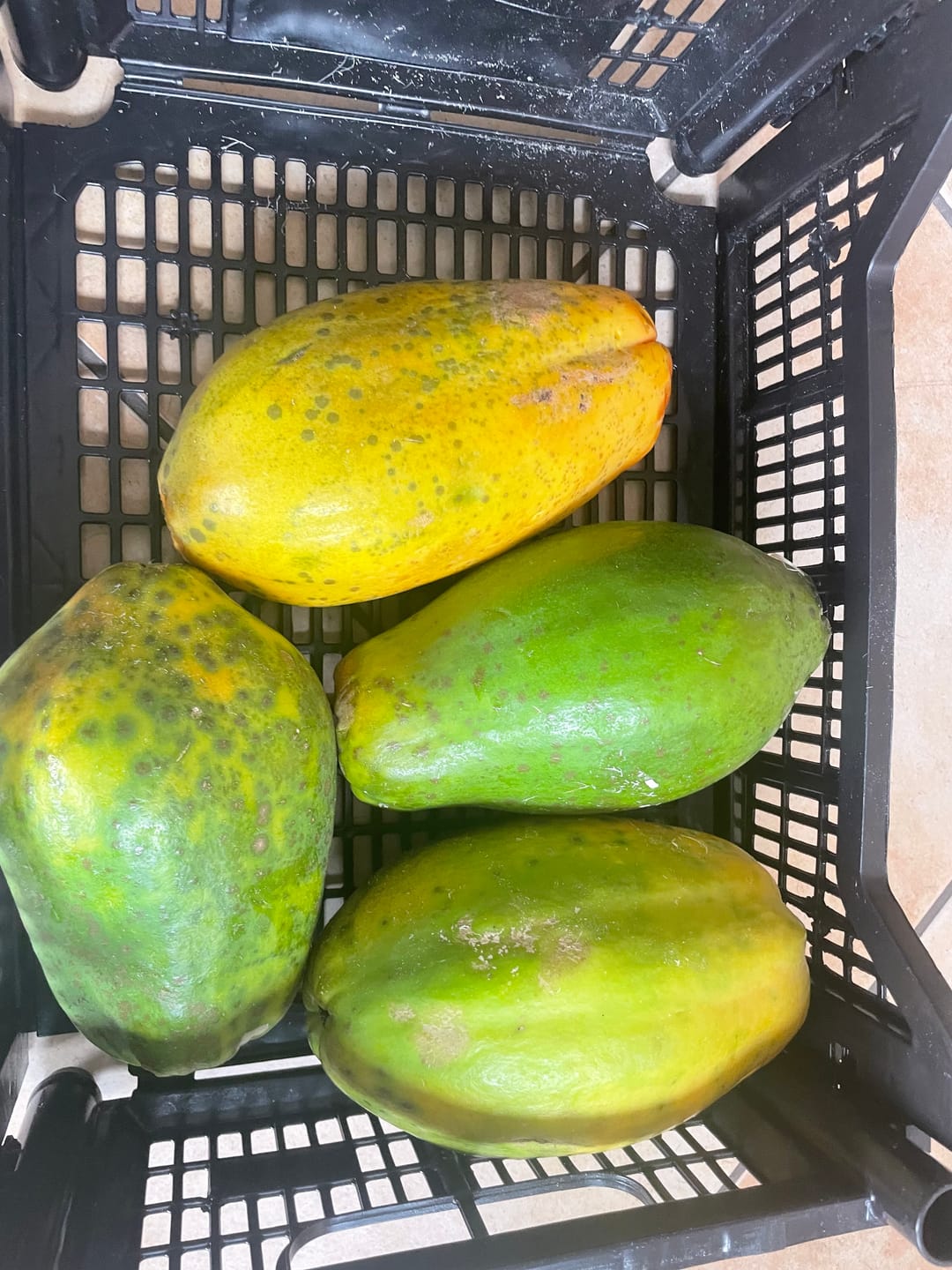 Customer photo review of Papaya Bio von Julian 4kg Box Sonderaktion %