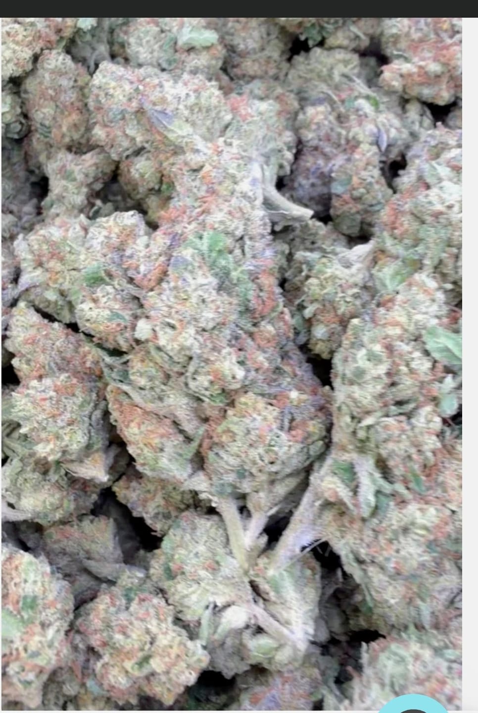 Customer photo review of Blueberry Syrup - Bulk - Indica