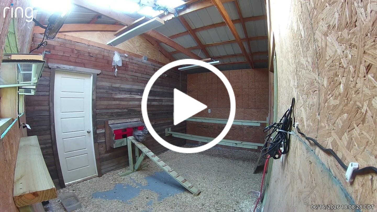 Customer video review of Medium (34") Reversible Roll-out Nest Box (Up to 32 Hens)