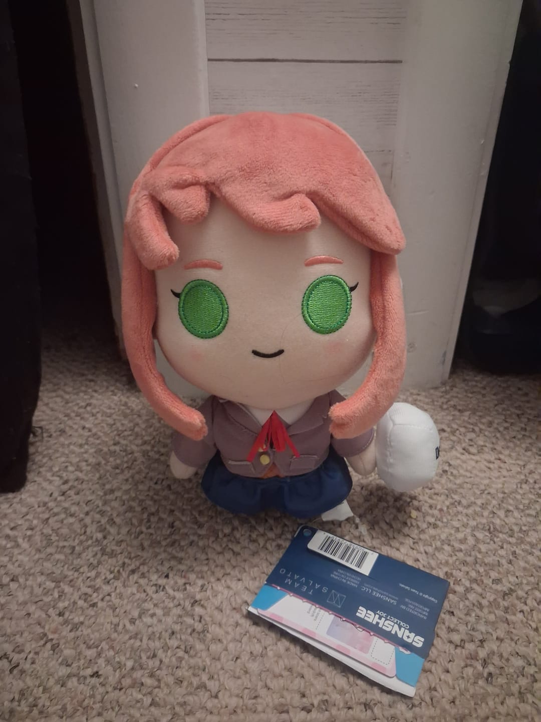 Customer photo review of Doki Doki Literature Club - Monika Collector's Plush