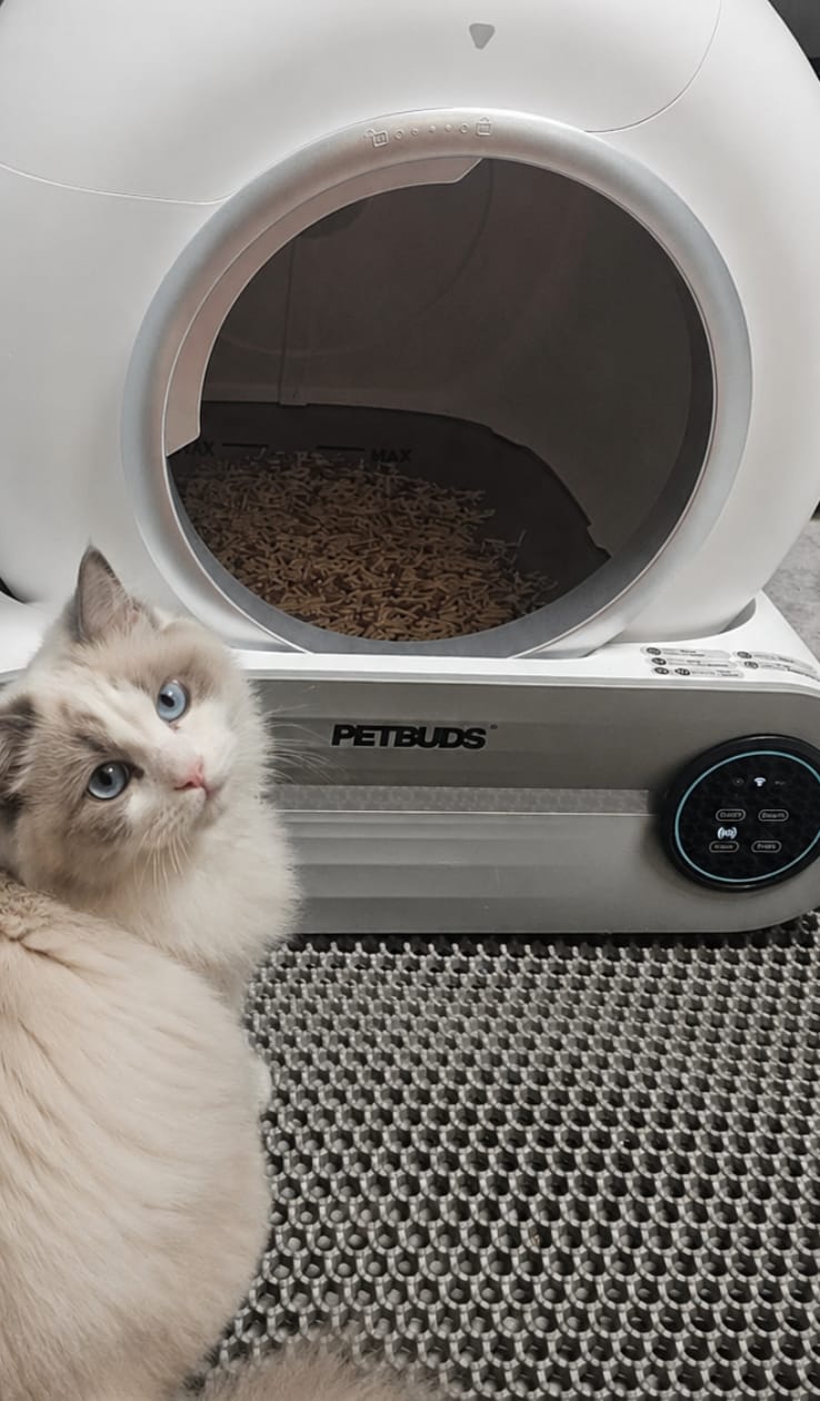 Customer photo review of Petbuds™ Pro 2026 Automatic Self-Cleaning Litter Box
