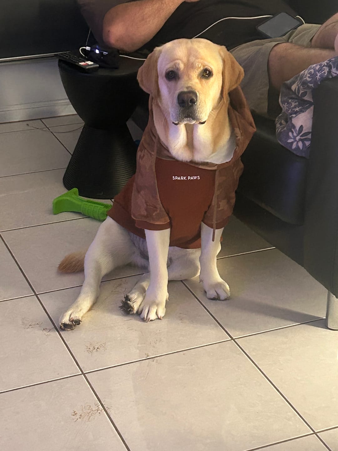 Customer photo review of Desert Camo Dog Hoodie