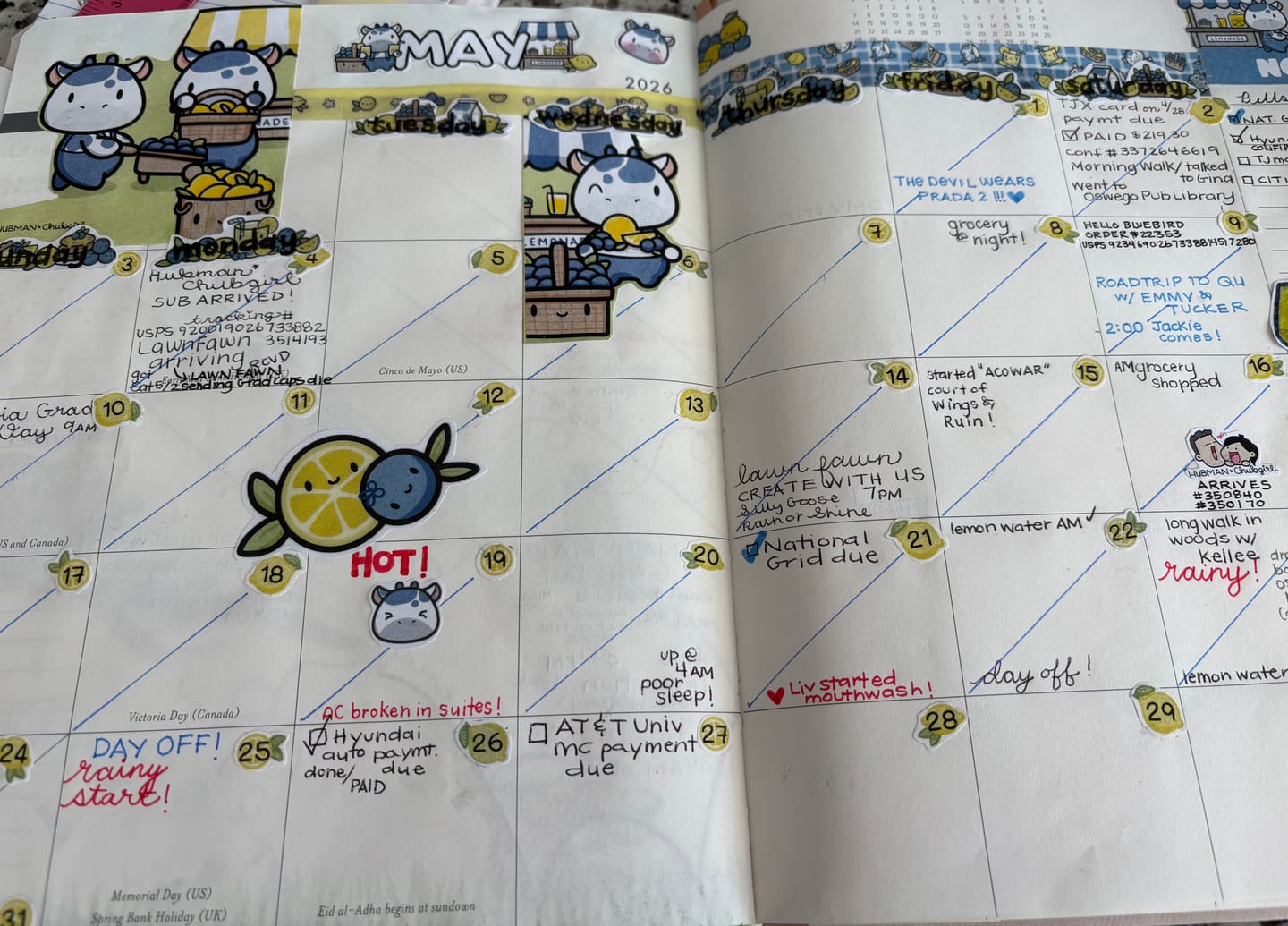 Customer photo review of Sticker Sampler Set