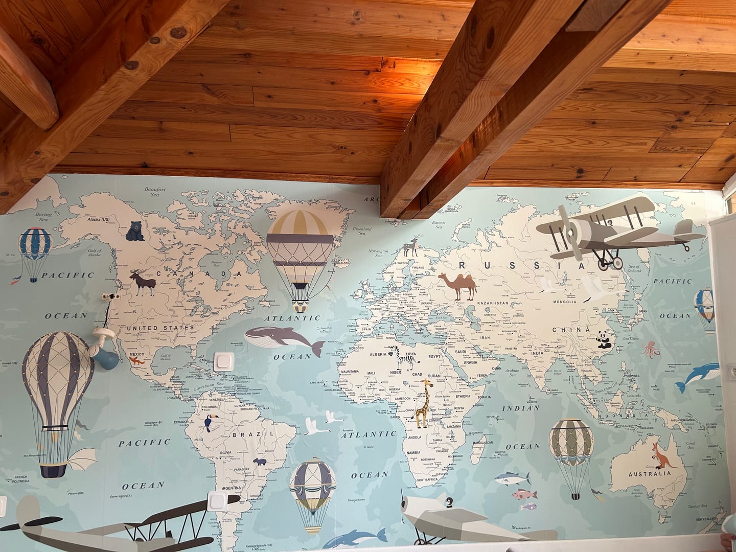 Customer photo review of Papier Peint Carte du Monde  Mappemonde Bleue