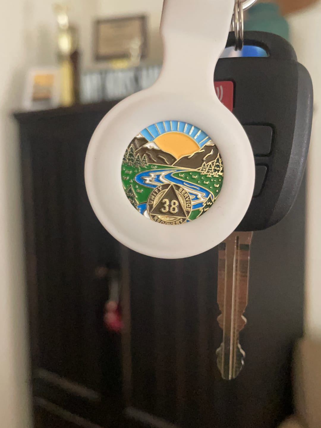 Customer photo review of 38 Year Sobriety Mint Winding River Gold Plated AA Recovery Medallion - Thirty Eight Year Chip/Coin