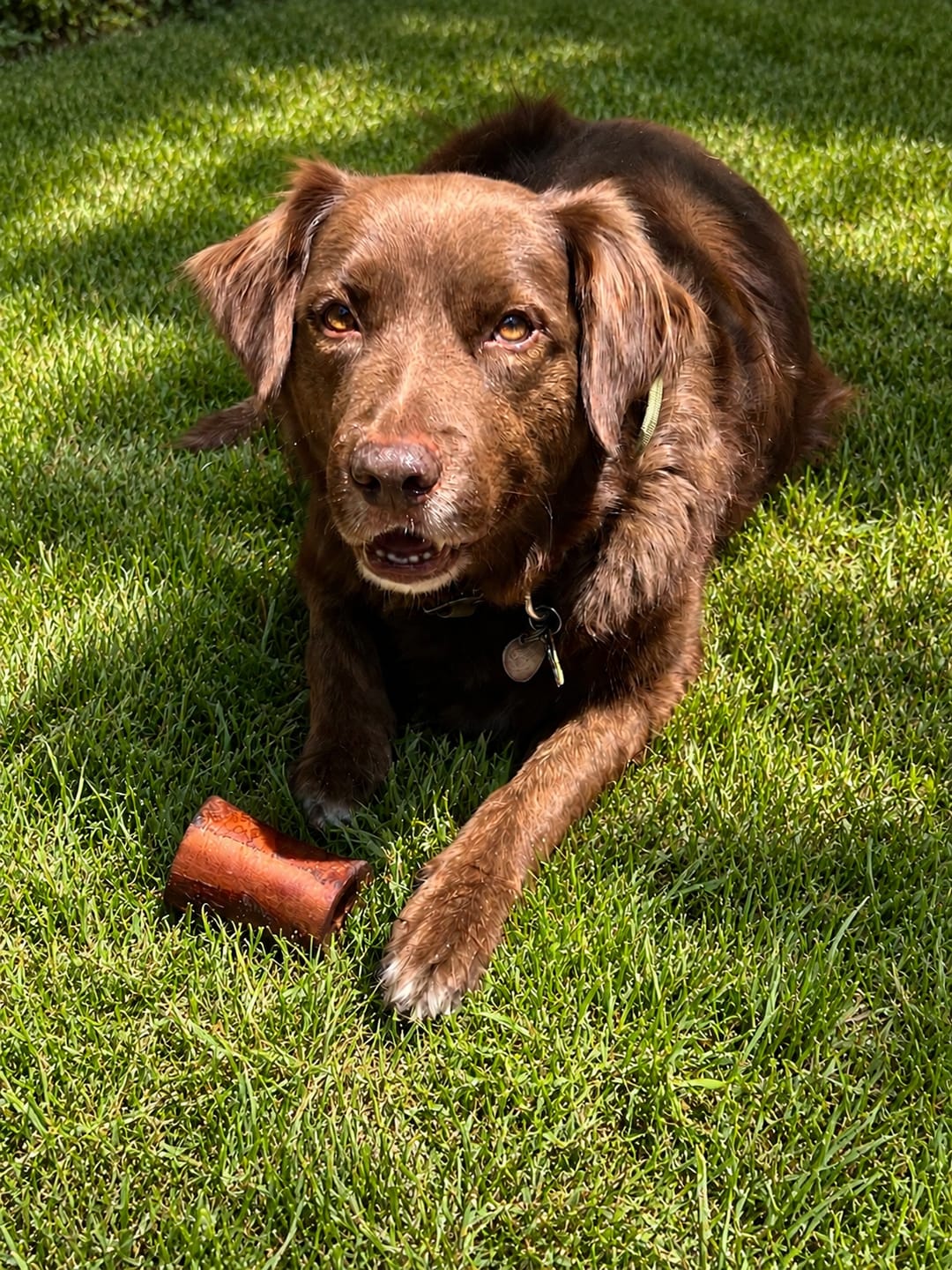 Customer photo review of Smoked Beef Marrow Bone