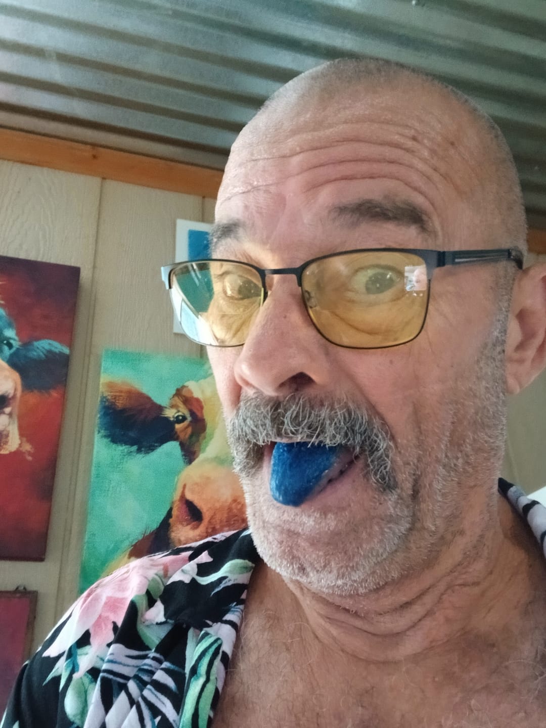 Customer photo review of Meraki Blu USP Grade Methylene Blue 150mg
