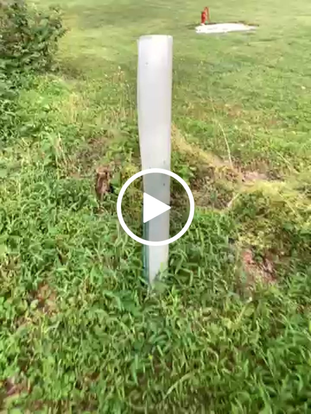 Customer video review of Main Attraction™ Crabapple