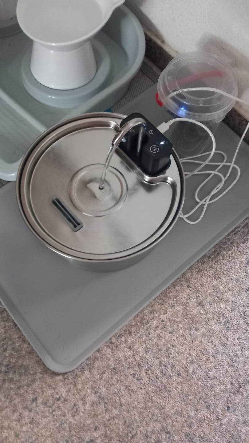 Customer photo review of NordFlow 2.0 Katzenbrunnen