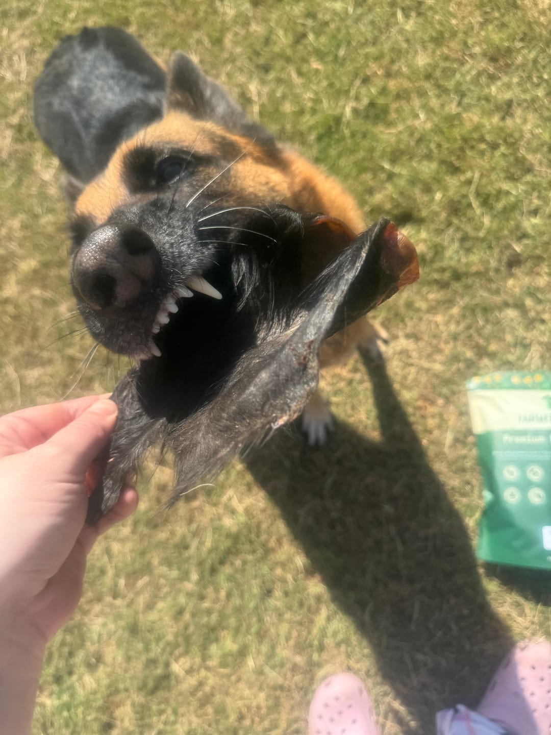 Customer photo review of Beef Hairy Ears
