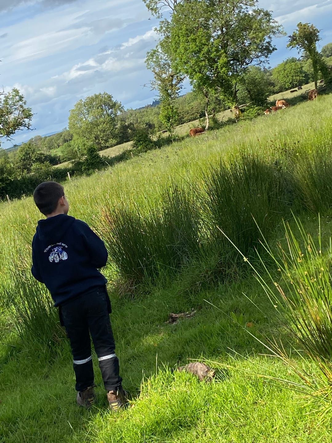 Customer photo review of Kids Blue Tractor Hoodie