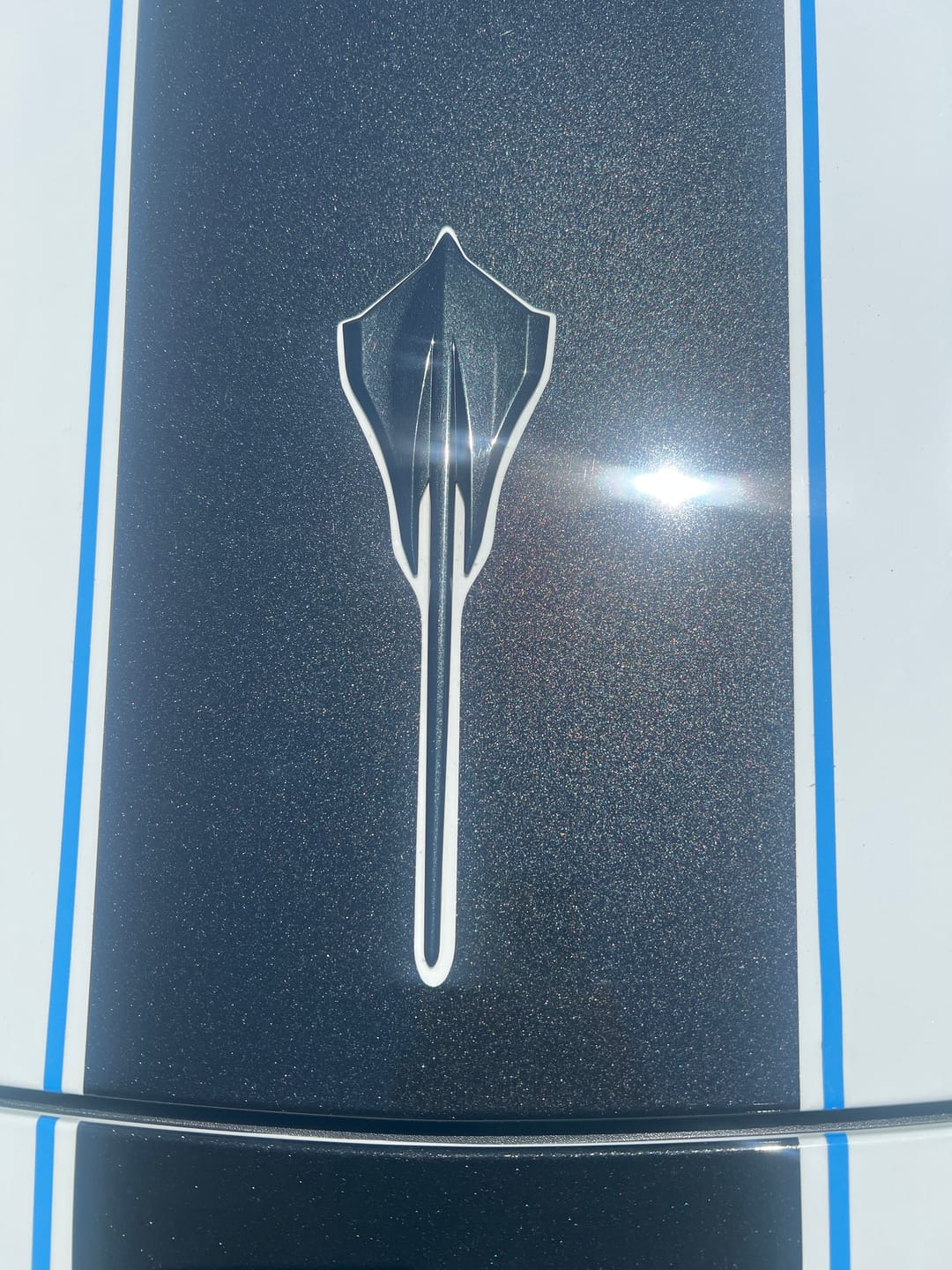 Customer photo review of Chevrolet Corvette C8 DRY CARBON FIBER 5VM Side Skirts