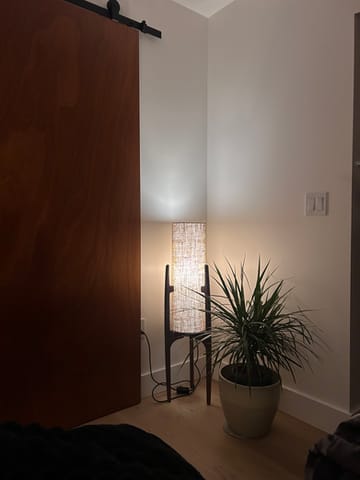 Customer photo review of Rocketlamp | Floor Lamp | Black Walnut