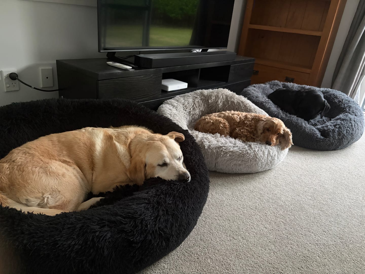 Customer photo review of Spare Covers for Brooklyn® Deep Sleep