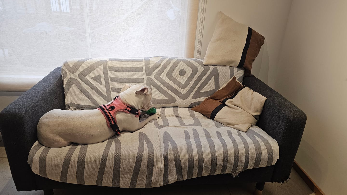 Customer photo review of Manta Cubresofá Frazada Premium De Living Dormitorio Sillon 180x230cm