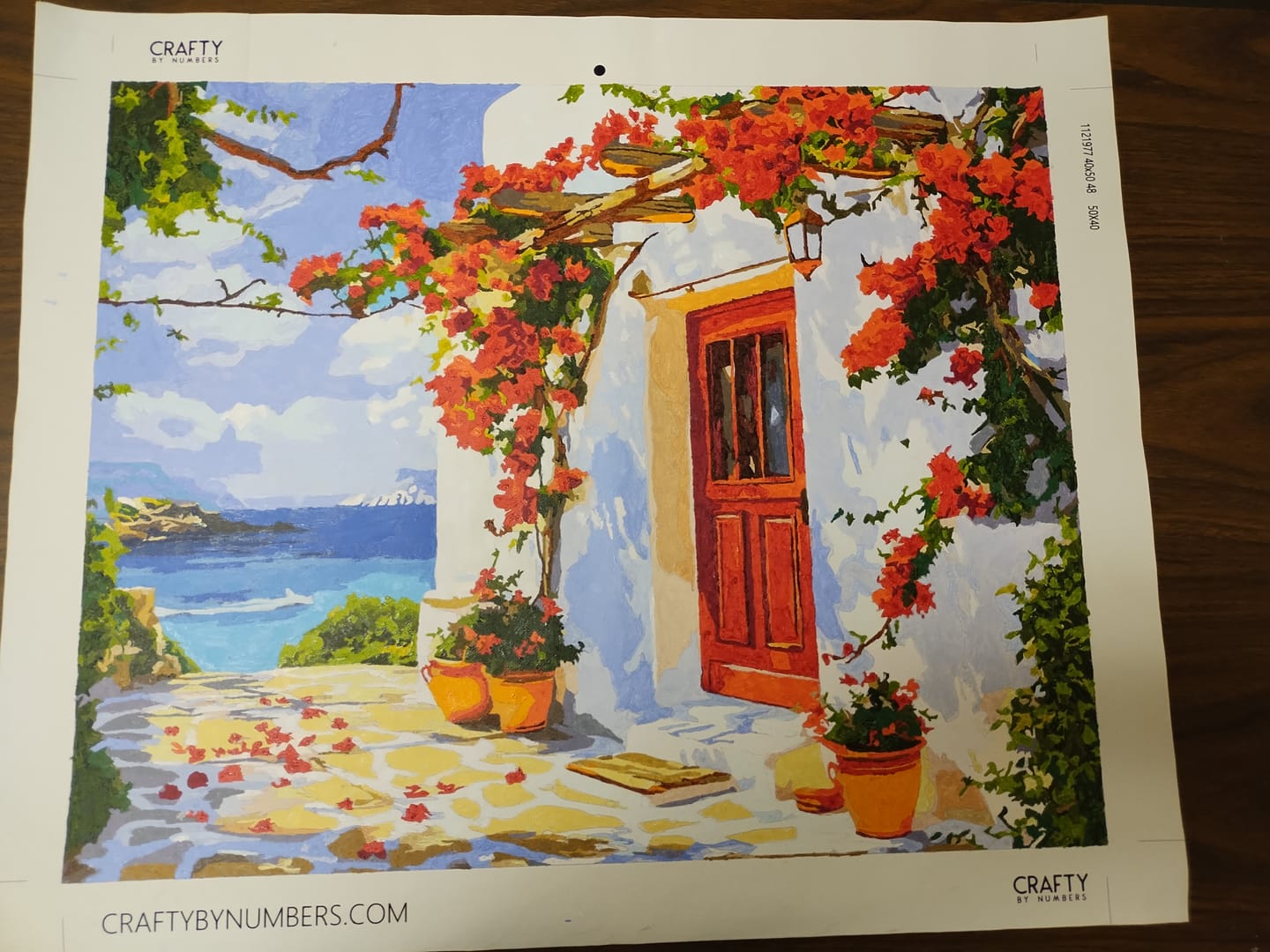 Customer photo review of Bougainvillea Bliss