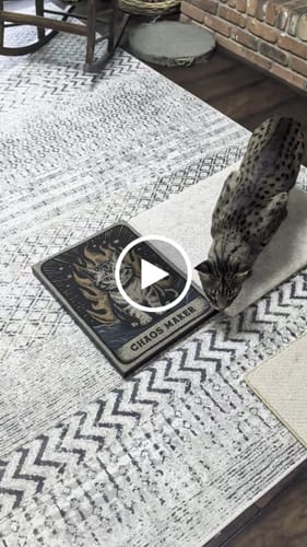 Customer video review of Chaos Maker - Luxury Cat Scratching Board