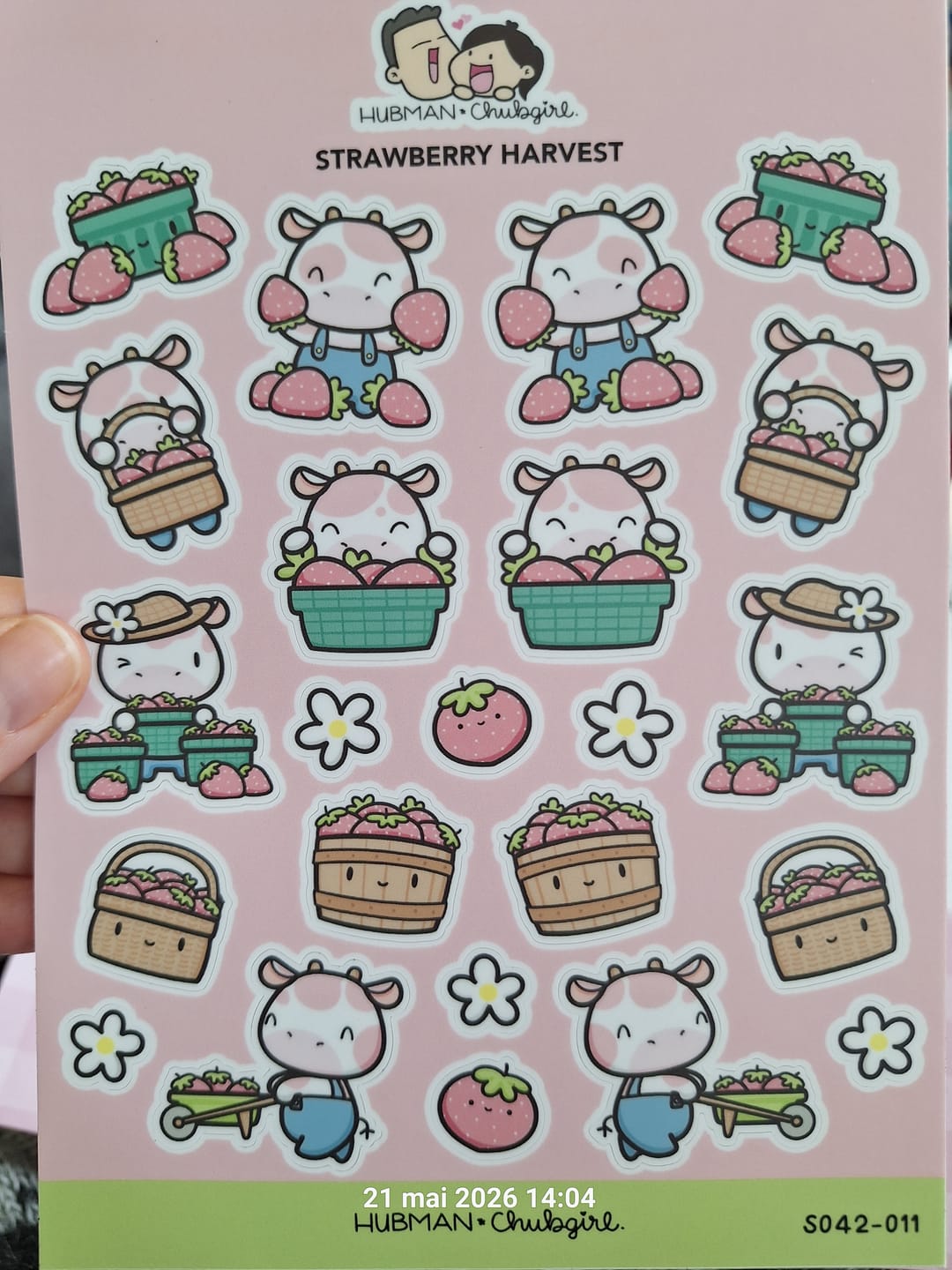 Customer photo review of Strawberry Harvest Sticker Sheet