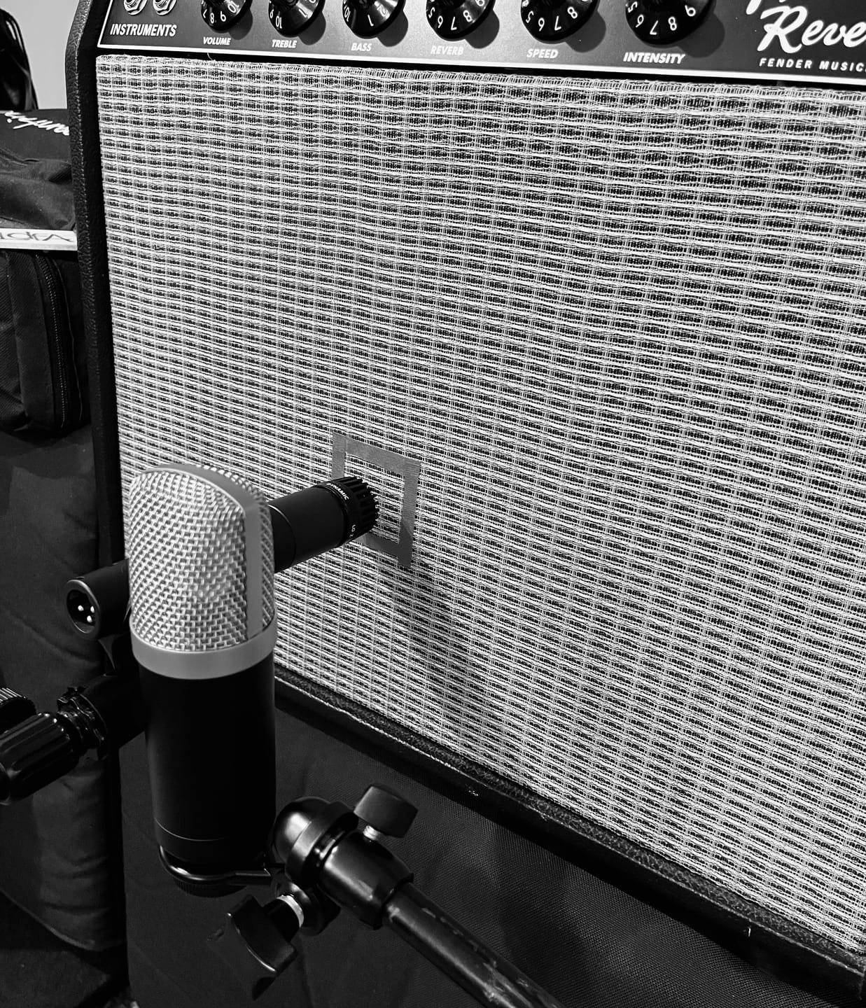 Customer photo review of Cab Mic - Guitar Microphone