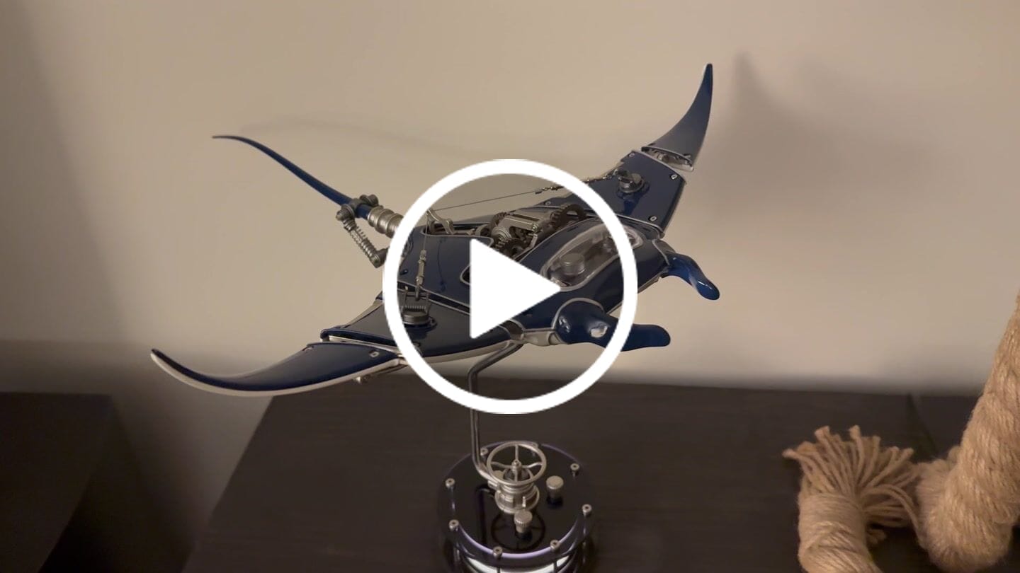 Customer video review of Rokrgeek Innovative Manta Ray Mechanical 3D Metal Model