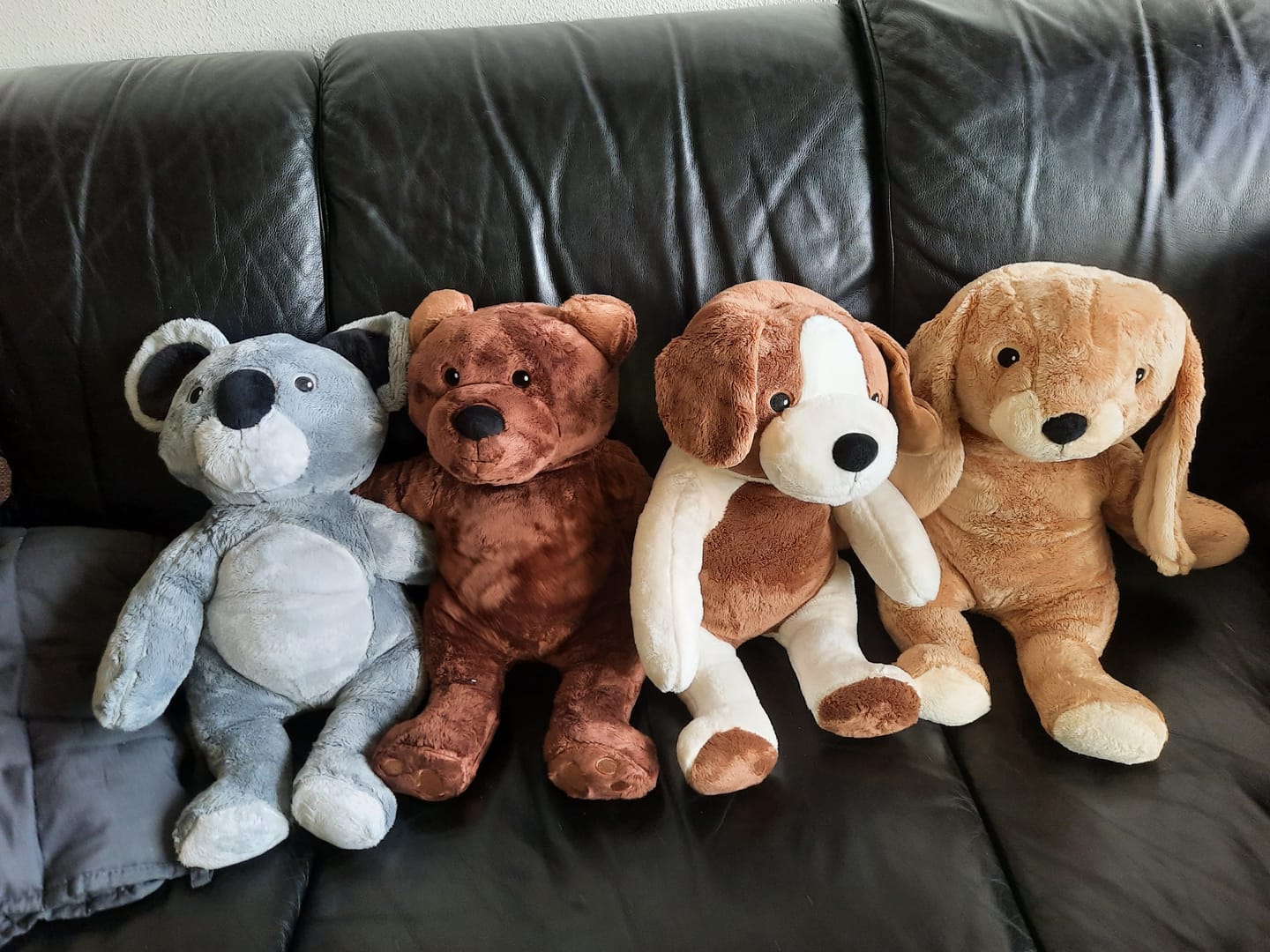 Customer photo review of Alle 4 Lotgenootjes in 1 - Je bespaart €70