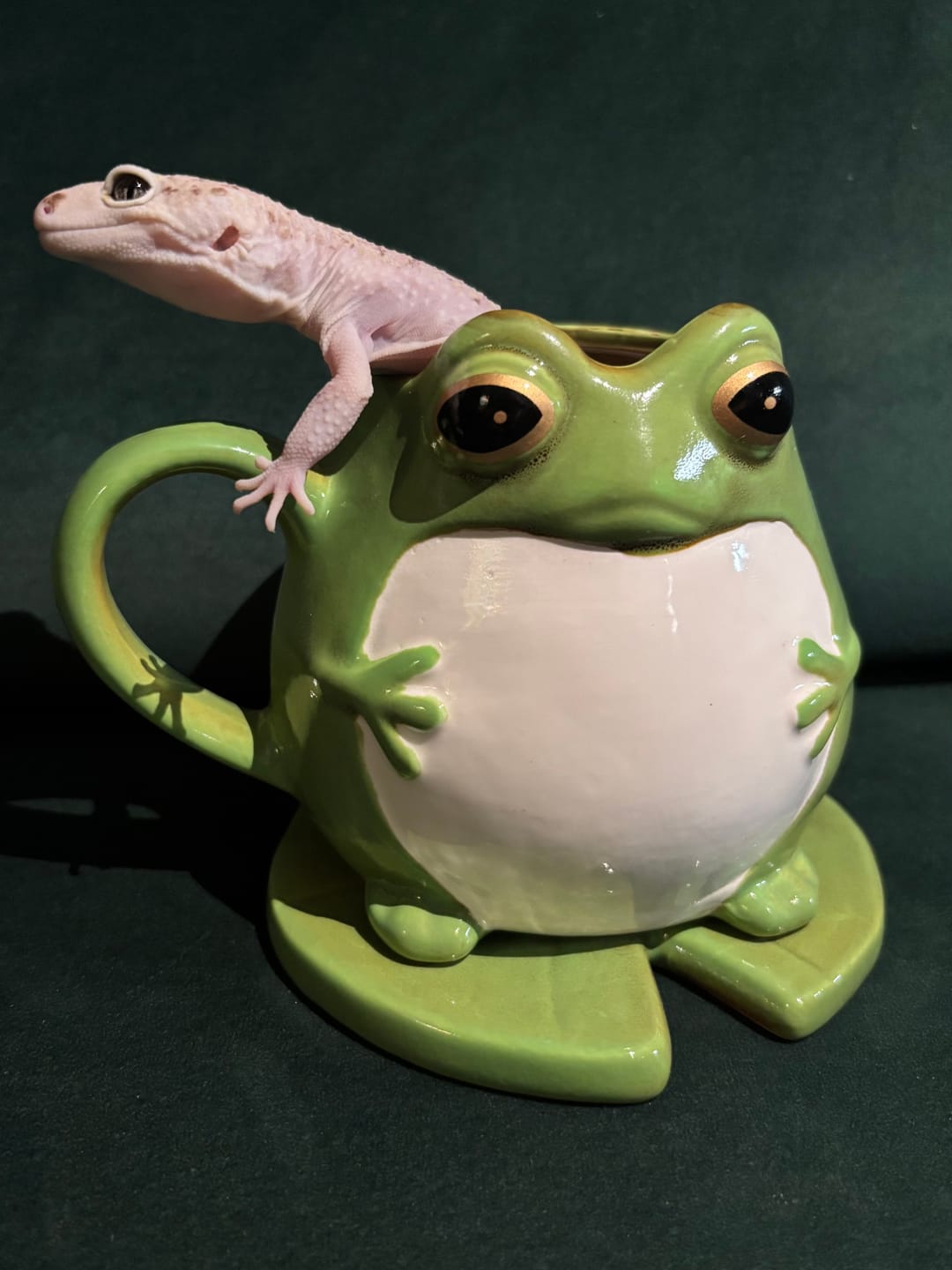 Customer photo review of Frosch-Tasse auf Seerosenblatt