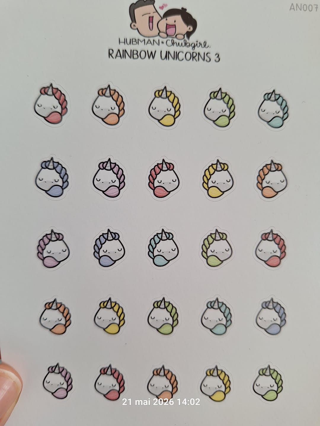 Customer photo review of Unicorns 3 Planner Stickers