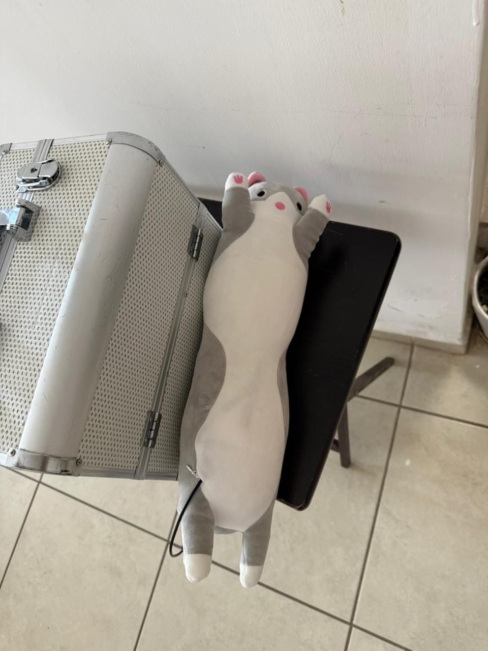 Customer photo review of Gatito Térmico