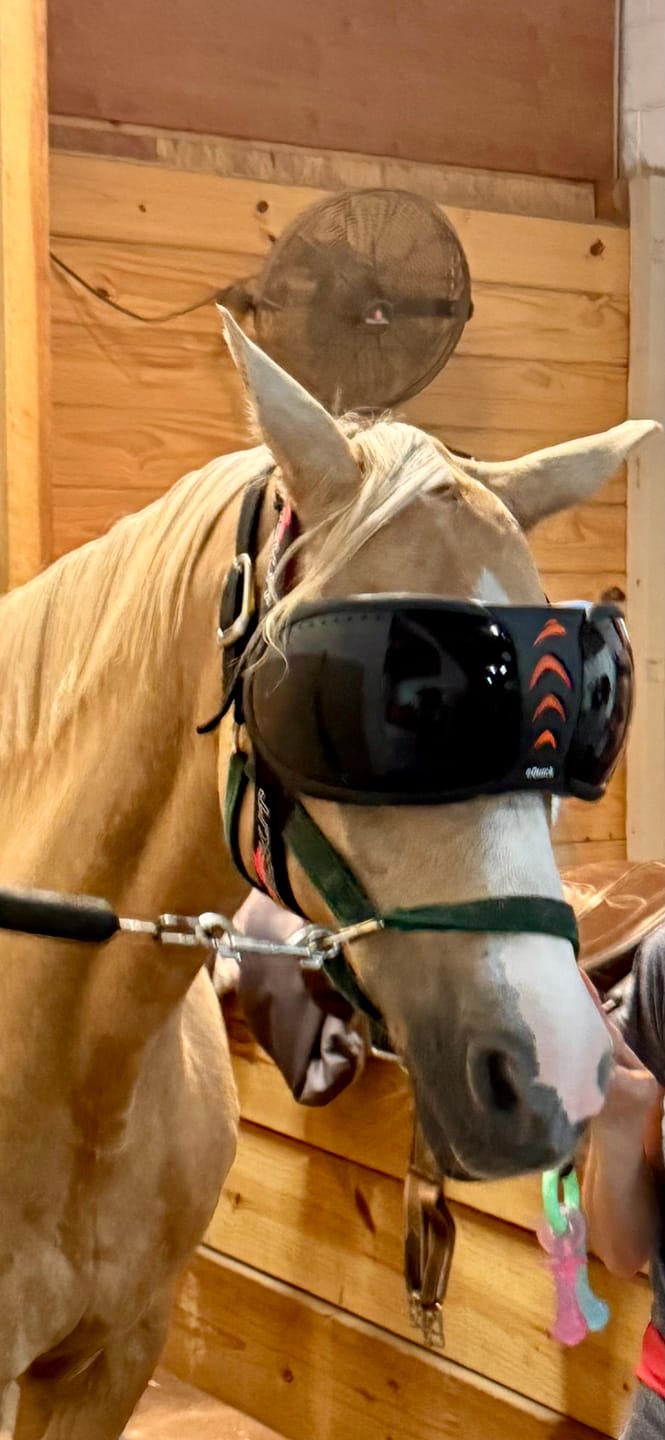 Customer photo review of eVysor - UV Horse Riding Goggles!