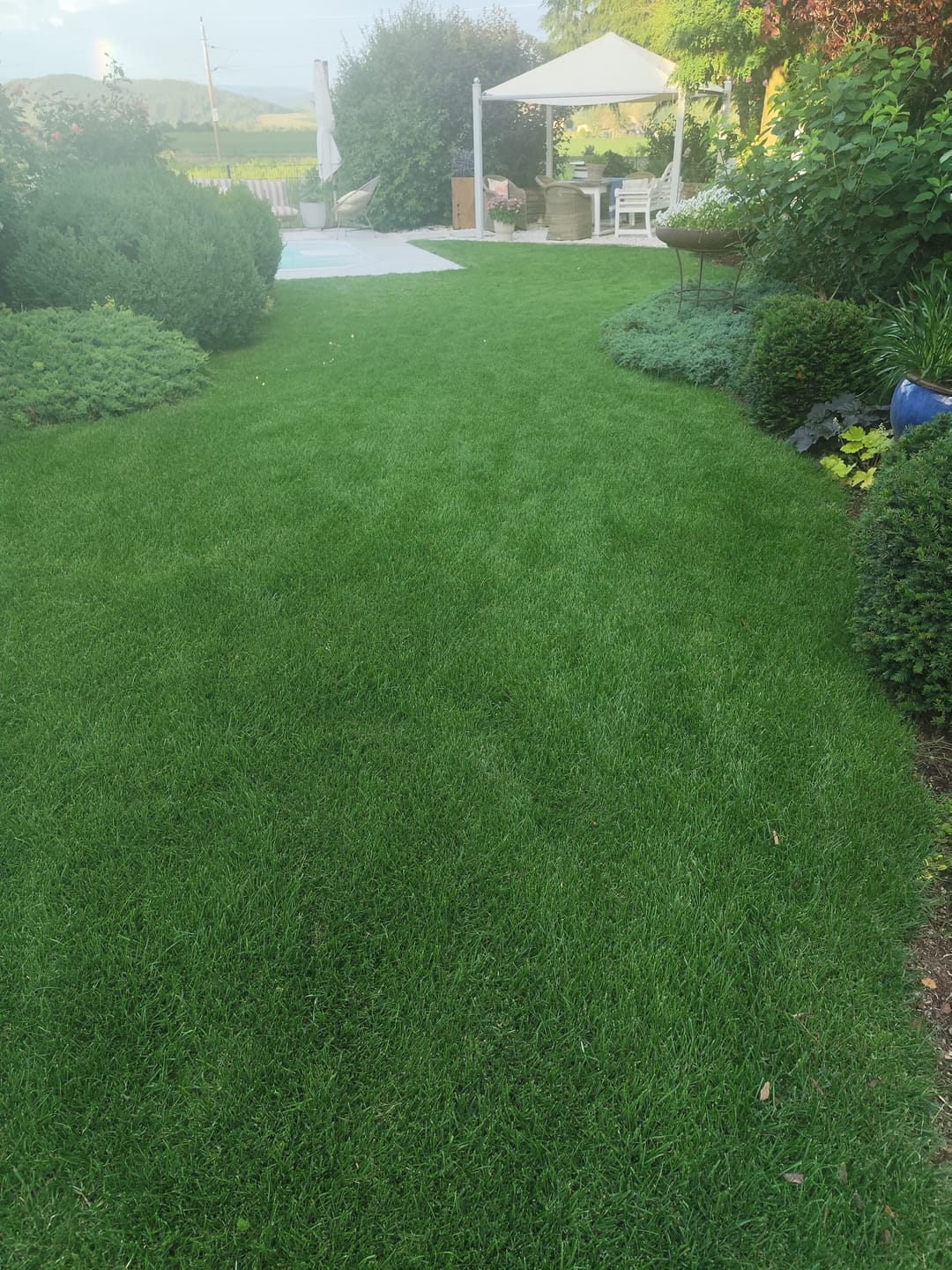 Customer photo review of RASENBLITZ™ - SOMMERDÜNGER