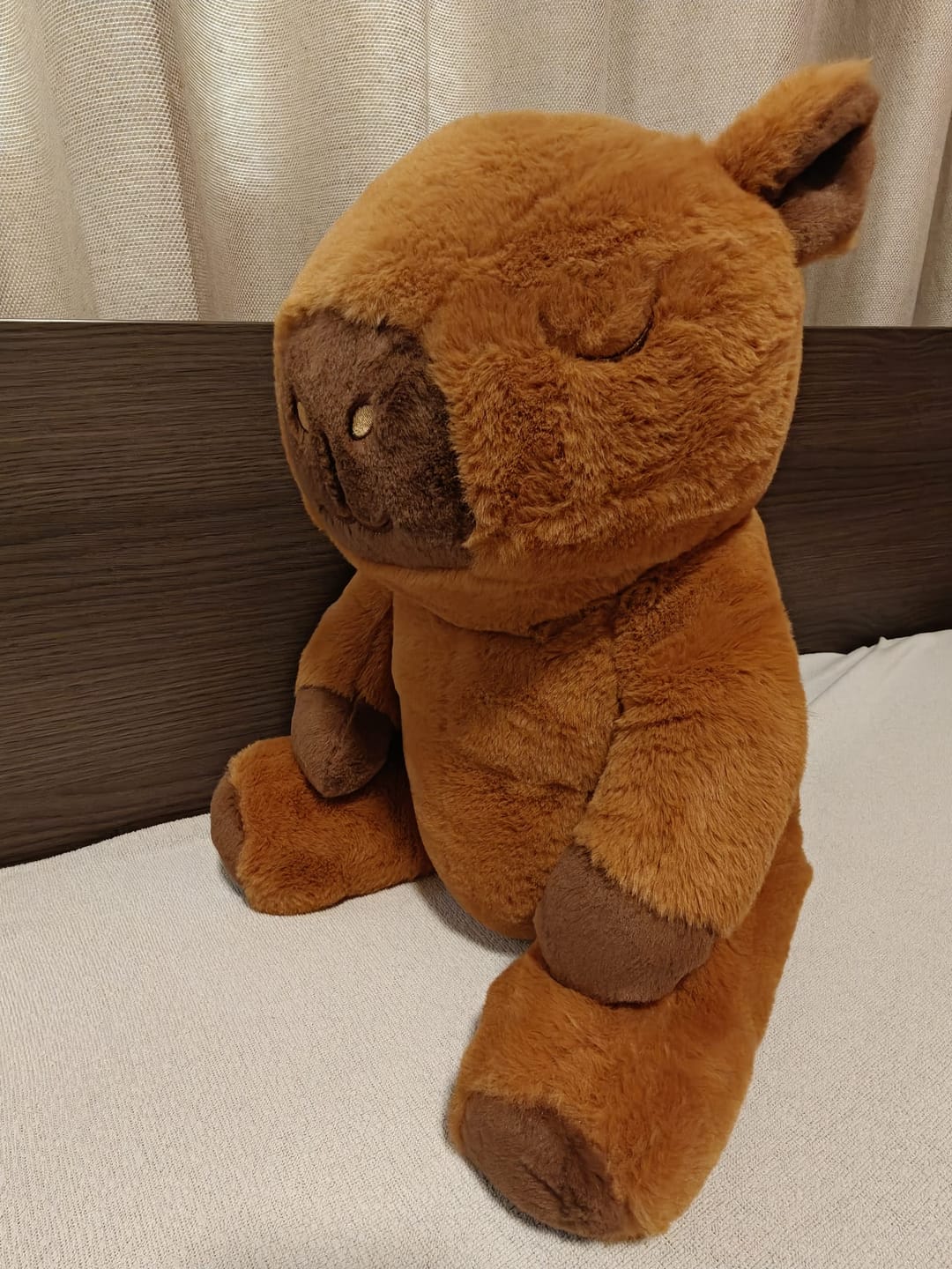 Customer photo review of Huggle Buddy Capybara Verzwaringsknuffel (2kg)