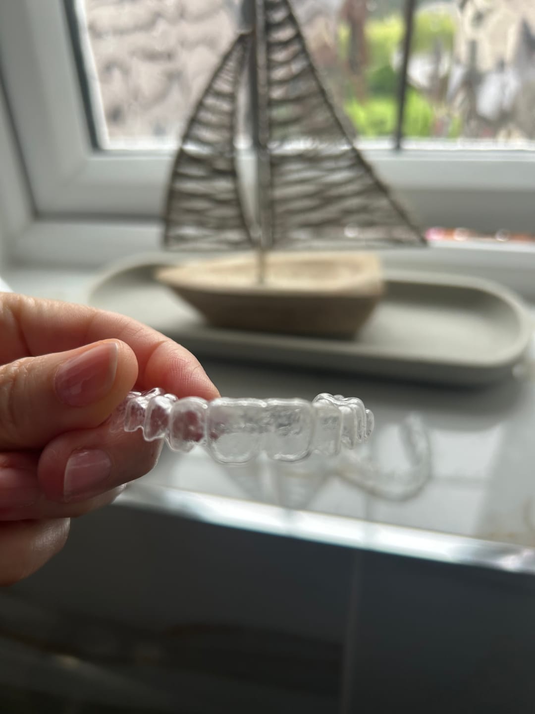 Customer photo review of Dental Pod