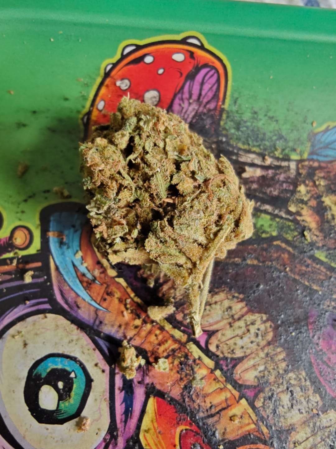 Customer photo review of Jack Herer - 14 Grams - Sativa