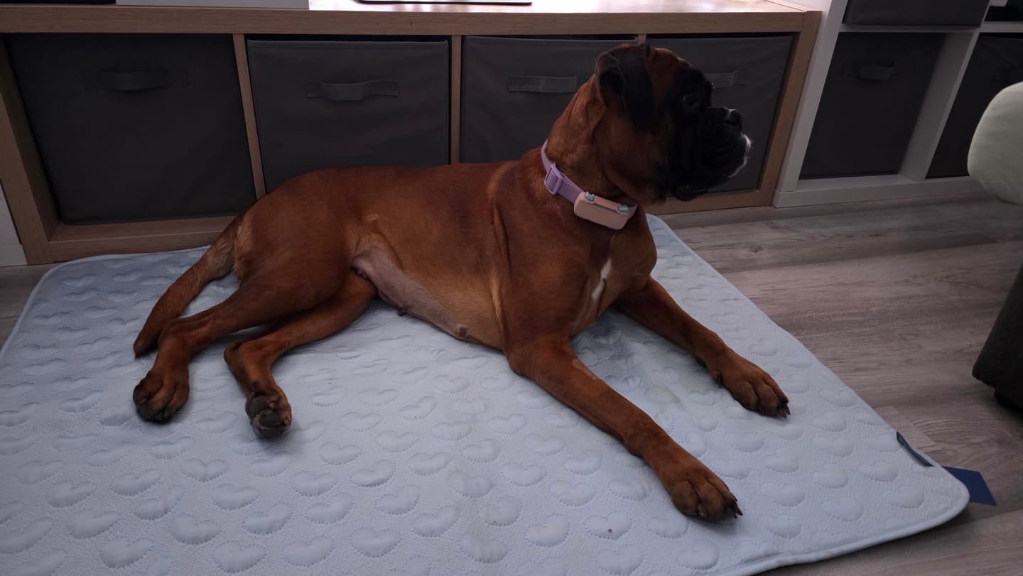 Customer photo review of Frostcore™ Cooling Mat 2 Pack