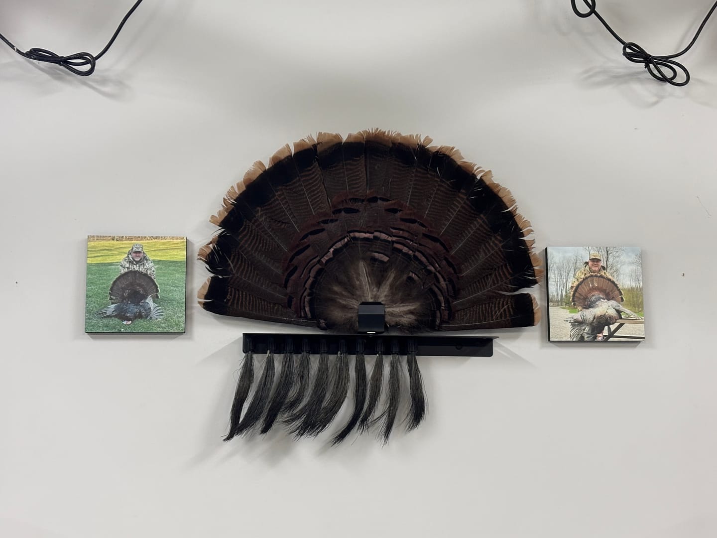 Customer photo review of Beard Shelf | Turkey Beard/Leg/Fan System