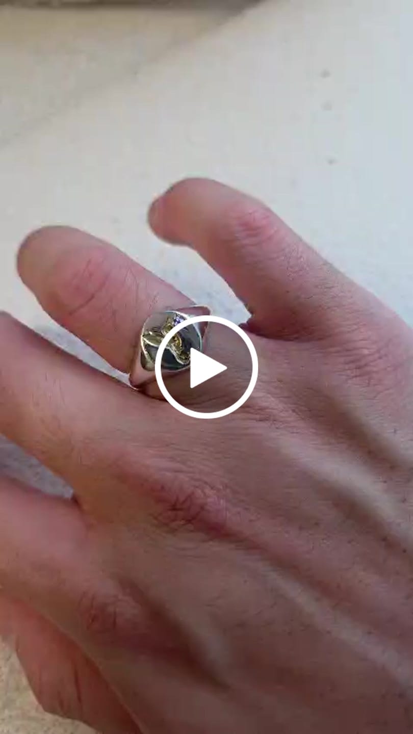 Customer video review of Swan Signet - CYGNET