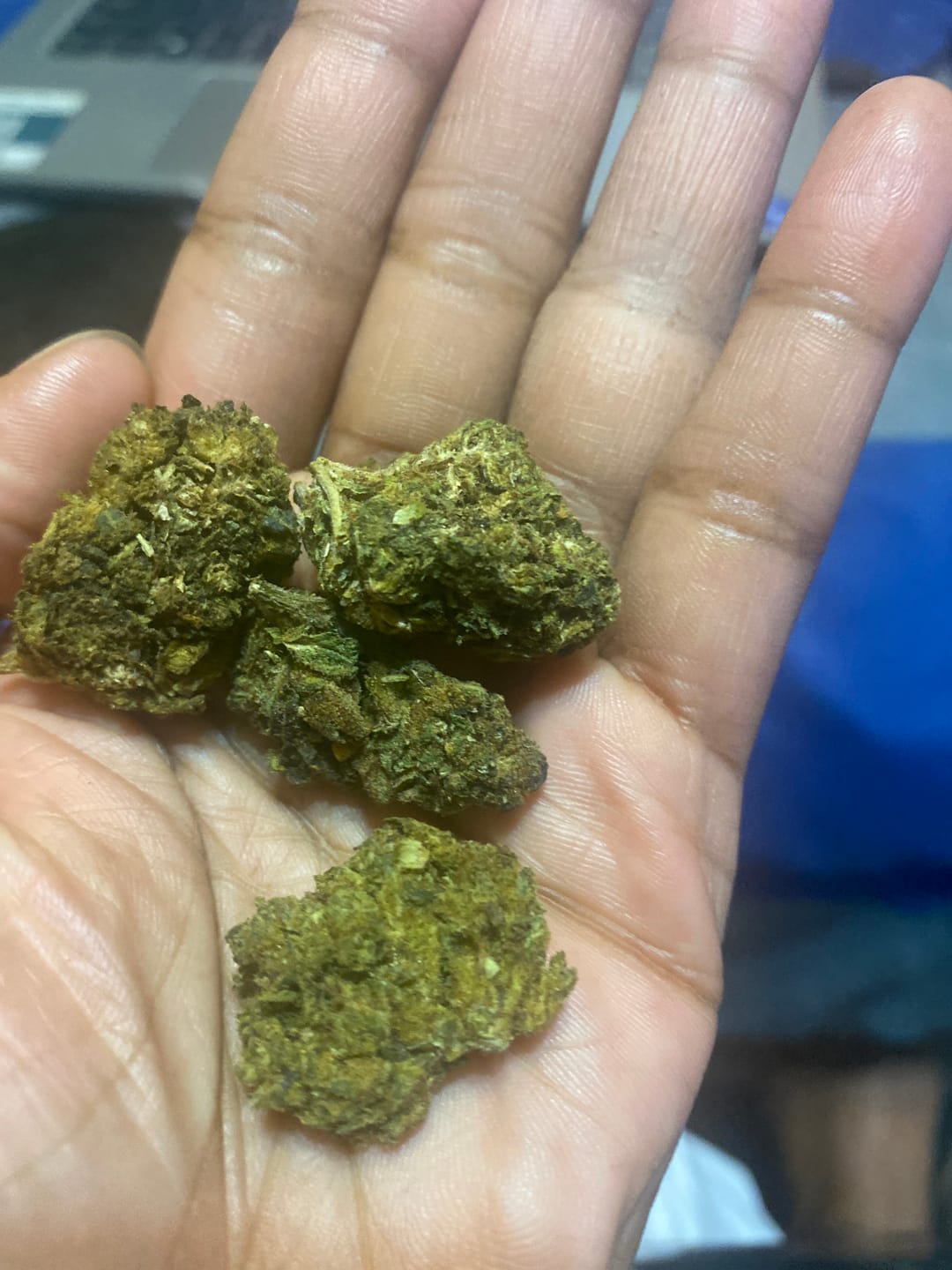 Customer photo review of Acapulco Gold - Bulk - Sativa