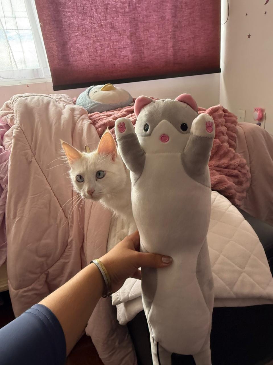Customer photo review of Gatito Térmico