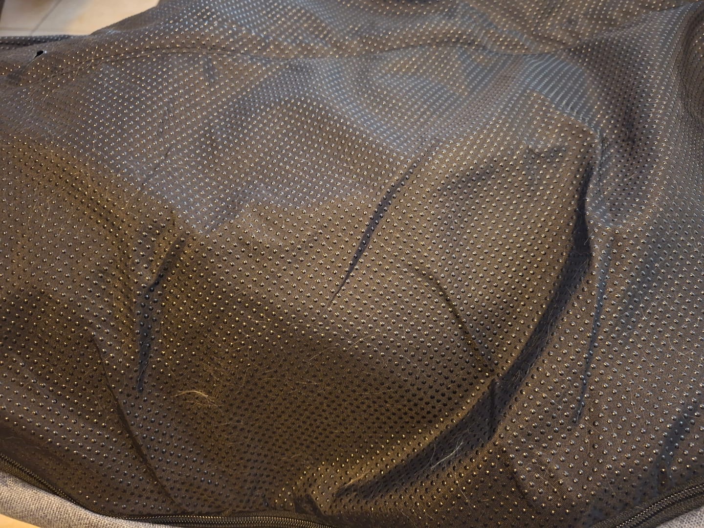 Customer photo review of Funda Lino para Cama Antiestrés para Perros