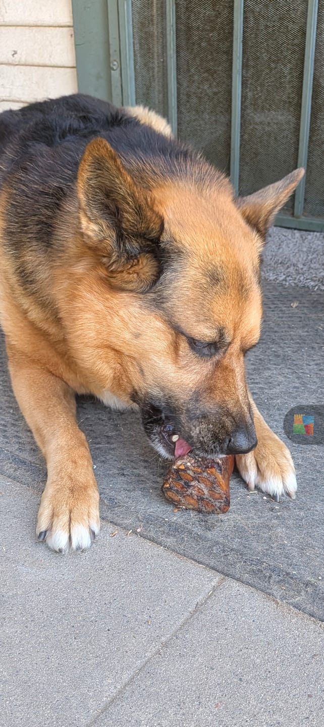 Customer photo review of Smoked Beef Marrow Bone