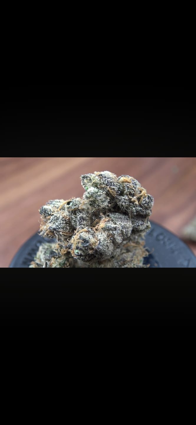 Customer photo review of Grape Soda - Bulk - Sativa