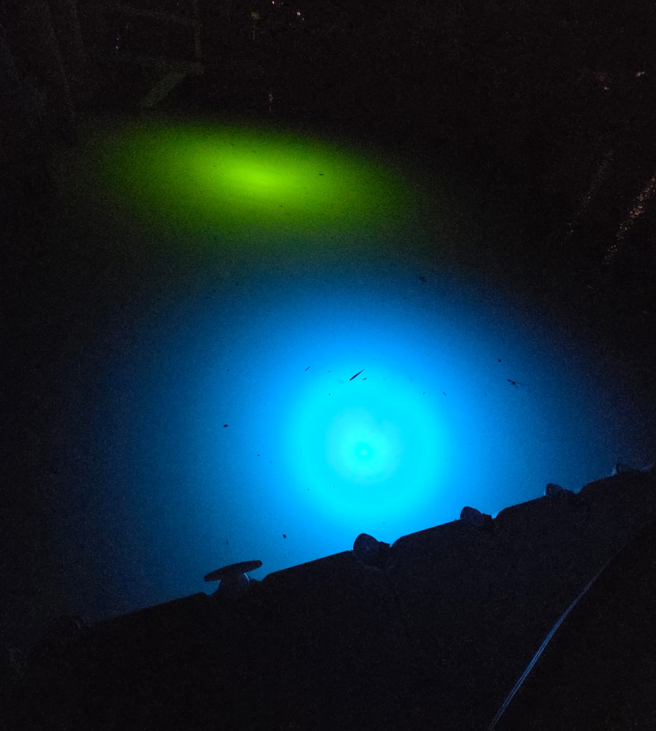 Customer photo review of Sea Floor Dock Light-Blue-SF200B