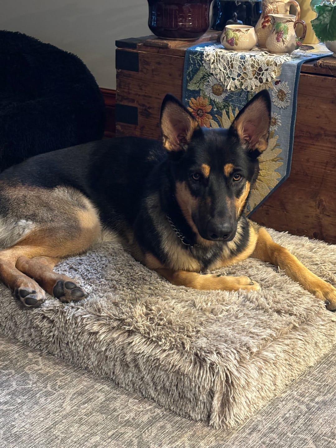 Customer photo review of Brooklyn® Memory Foam Bed