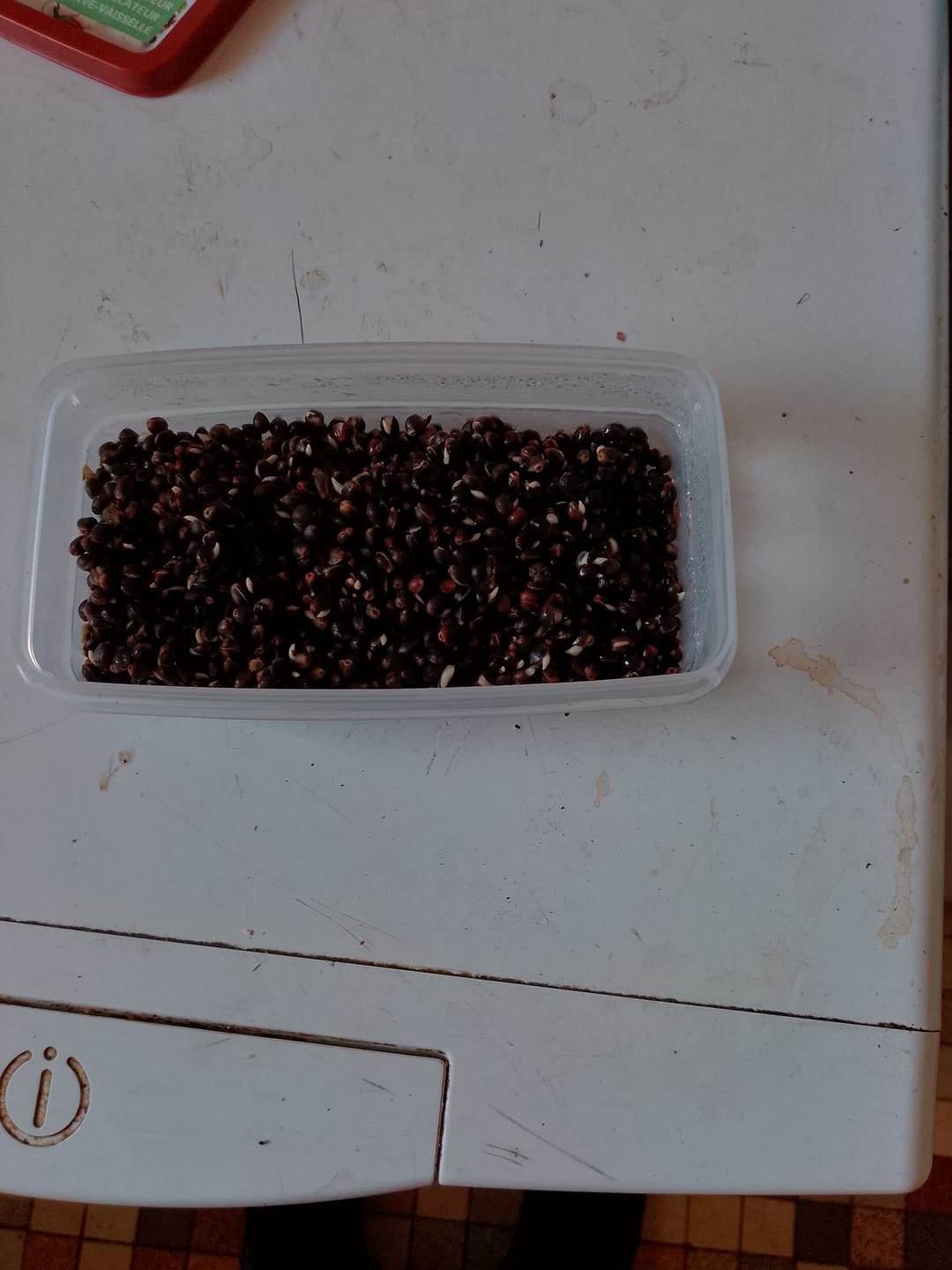 Customer photo review of Monsterkempzaad 1kg