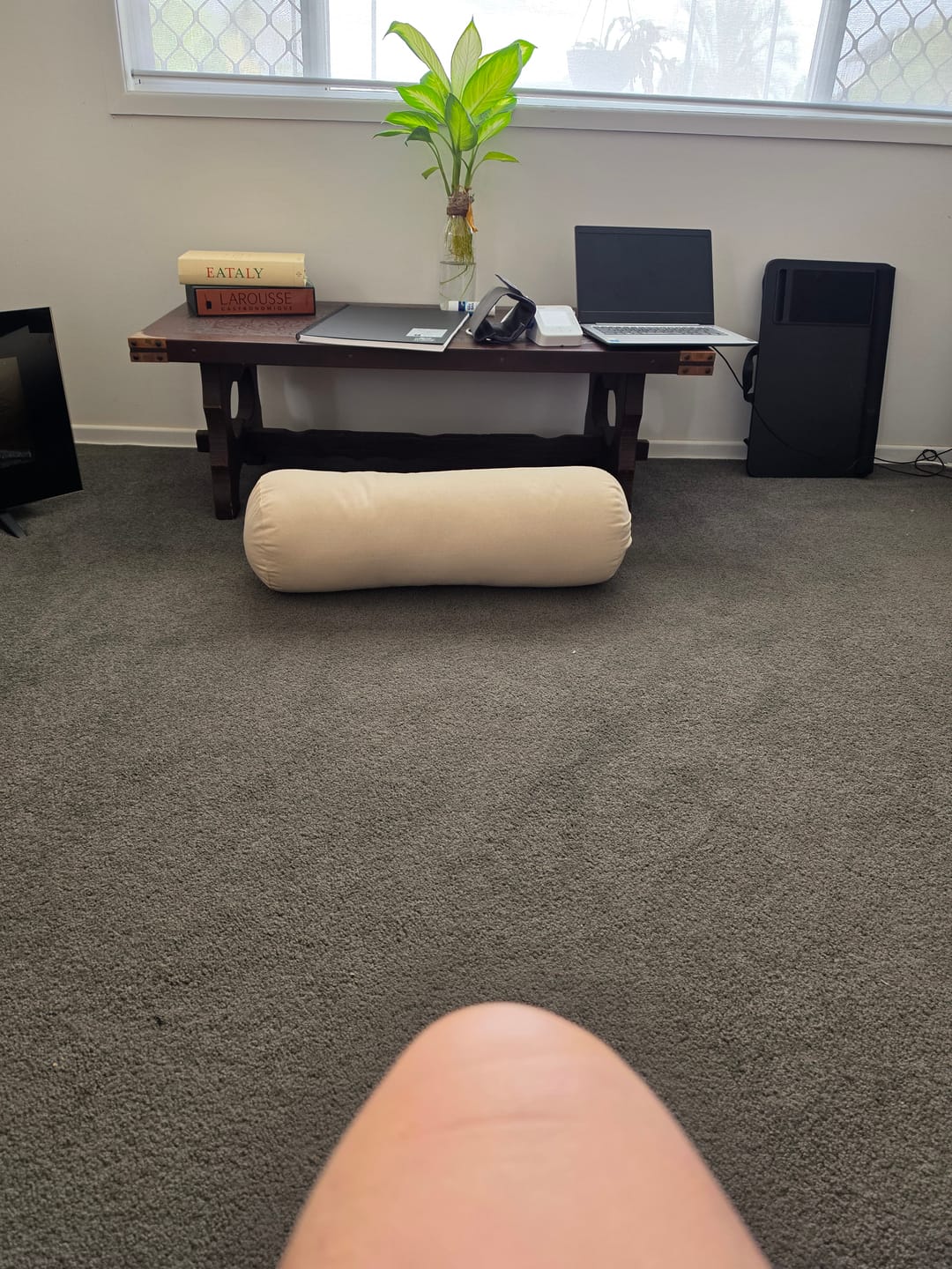 Customer photo review of Round Yoga Bolster - Purity