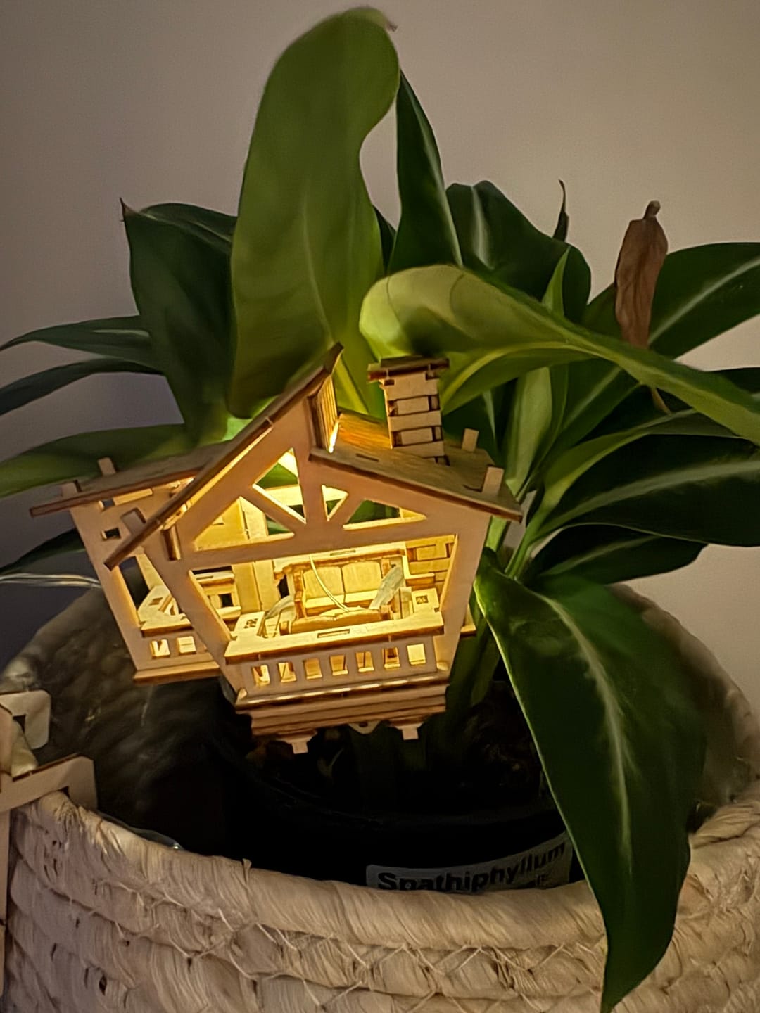 Customer photo review of Lost Cabin