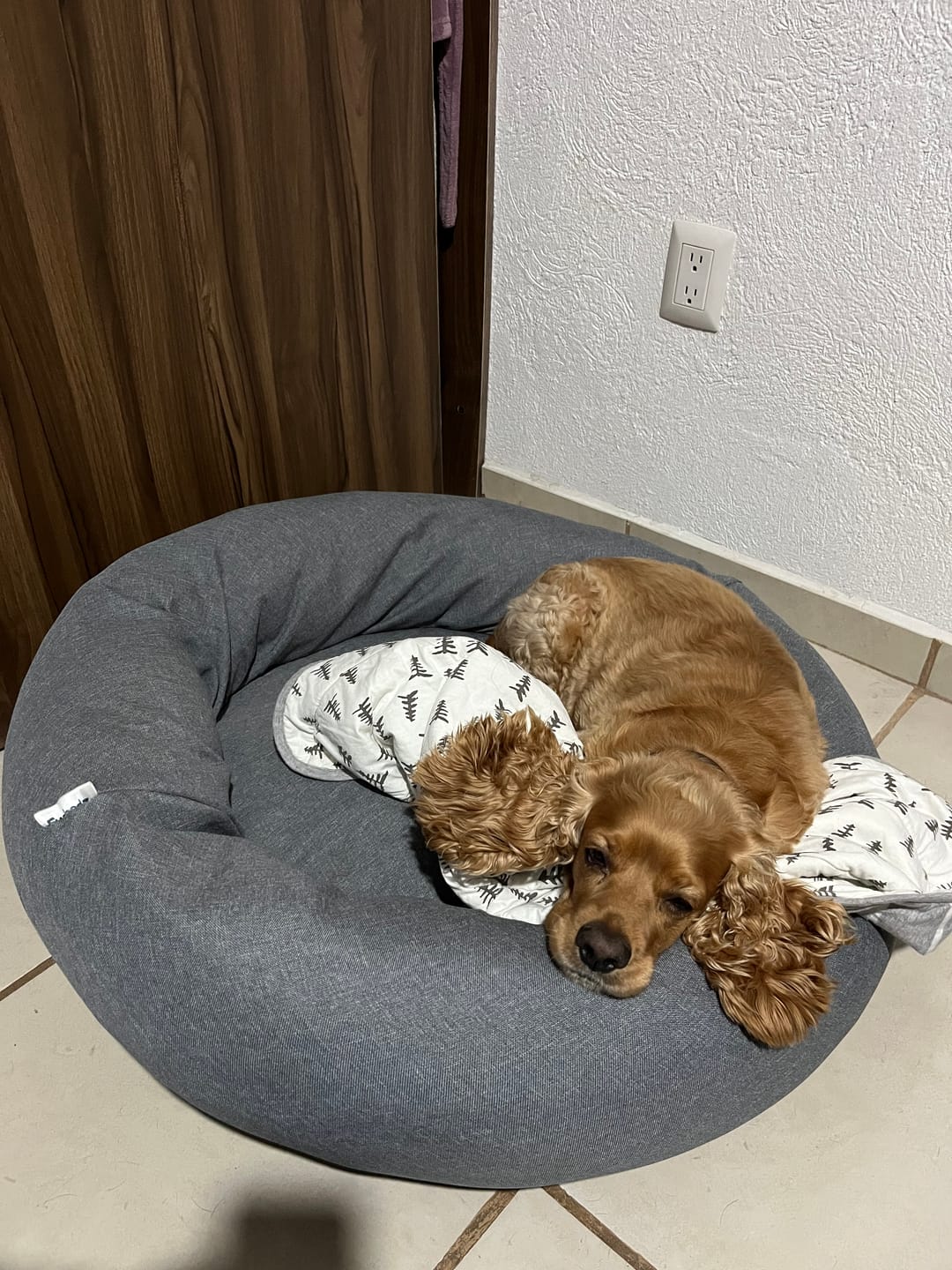 Customer photo review of Funda Lino para Cama Antiestrés para Perros
